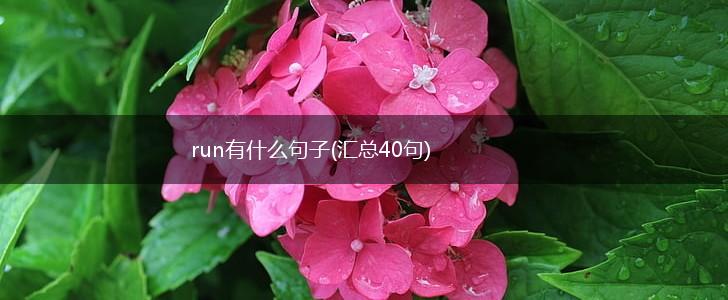 run有什么句子(汇总40句),第1张