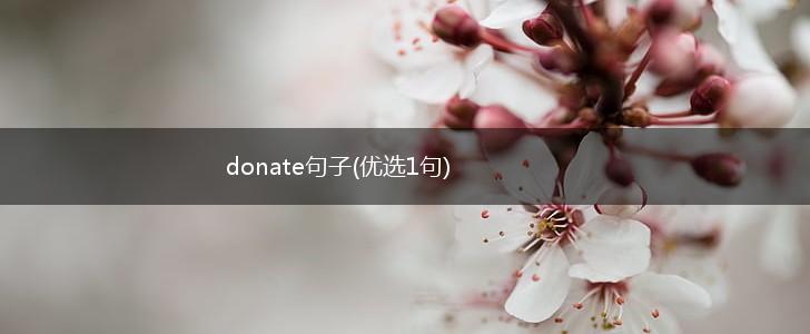 donate句子(优选1句),第1张