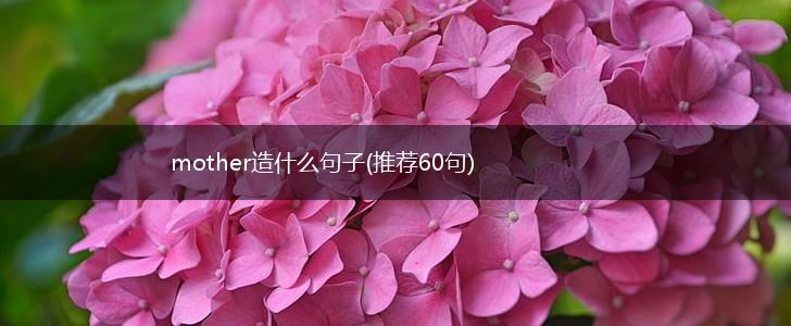 mother造什么句子(推荐60句),第1张