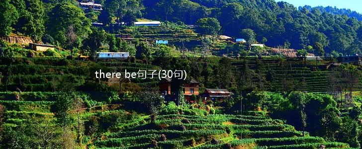 there be句子(30句),第1张