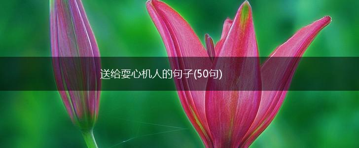 送给耍心机人的句子(50句),第1张