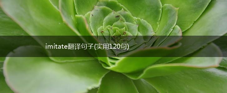 imitate翻译句子(实用120句),第1张