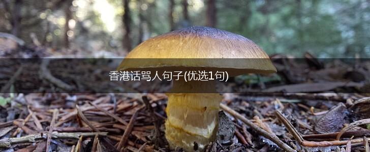 香港话骂人句子(优选1句),第1张