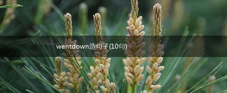 wentdown造句子(10句),第1张