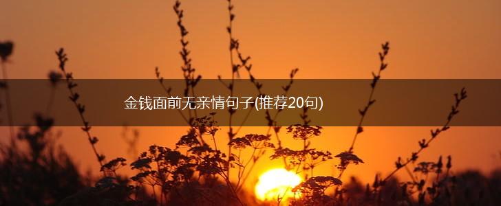金钱面前无亲情句子(推荐20句),第1张