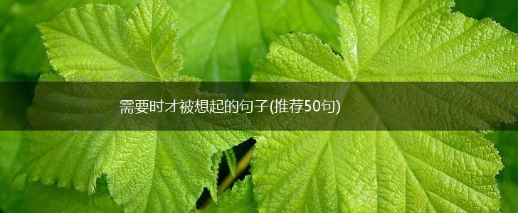 需要时才被想起的句子(推荐50句),第1张