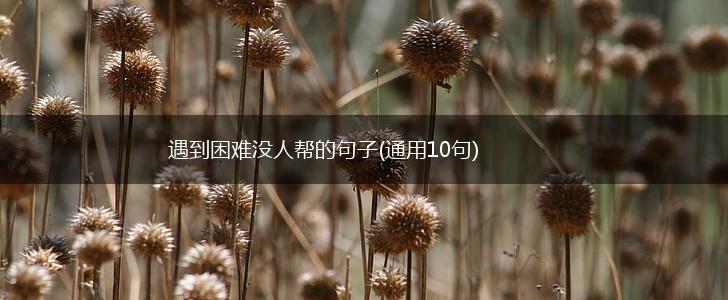 遇到困难没人帮的句子(通用10句),第1张