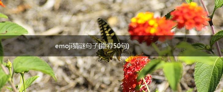 emoji猜谜句子(推荐50句),第1张