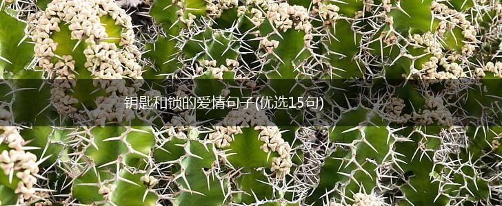 钥匙和锁的爱情句子(优选15句),第1张