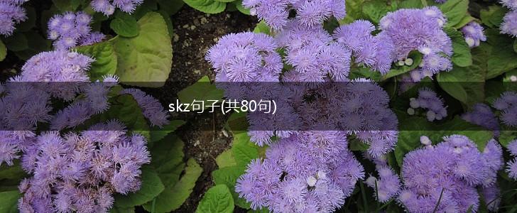 skz句子(共80句),第1张