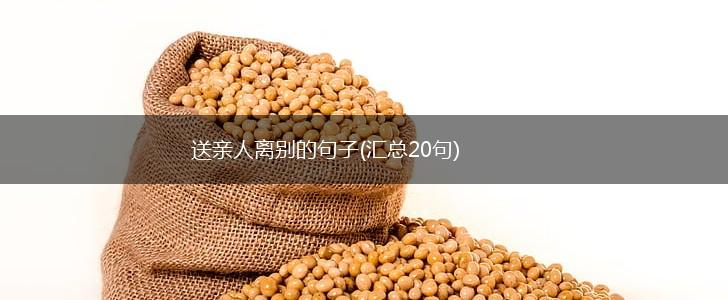 送亲人离别的句子(汇总20句),第1张
