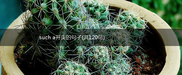 such a开头的句子(共120句),第1张