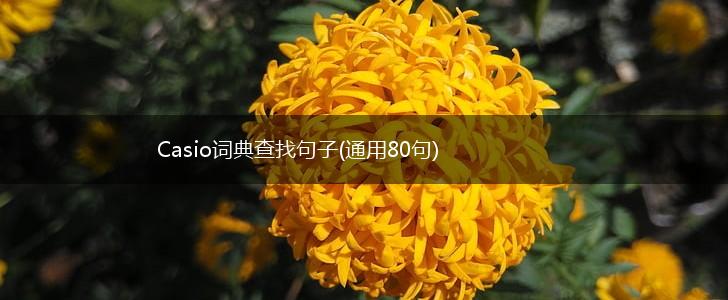 Casio词典查找句子(通用80句),第1张