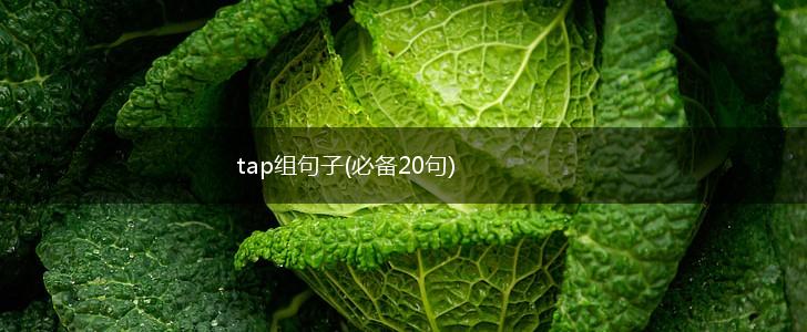 tap组句子(必备20句),第1张
