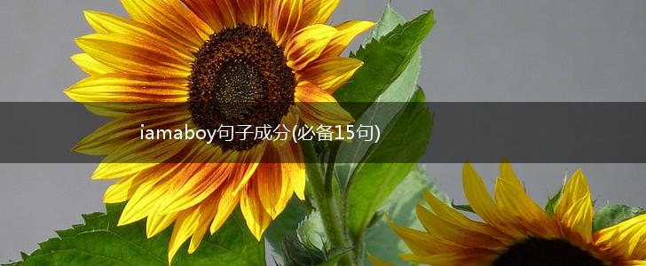 iamaboy句子成分(必备15句),第1张