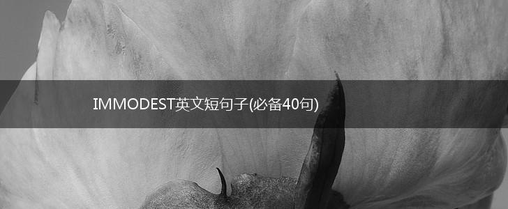 IMMODEST英文短句子(必备40句),第1张
