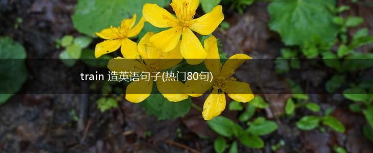 train 造英语句子(热门80句),第1张