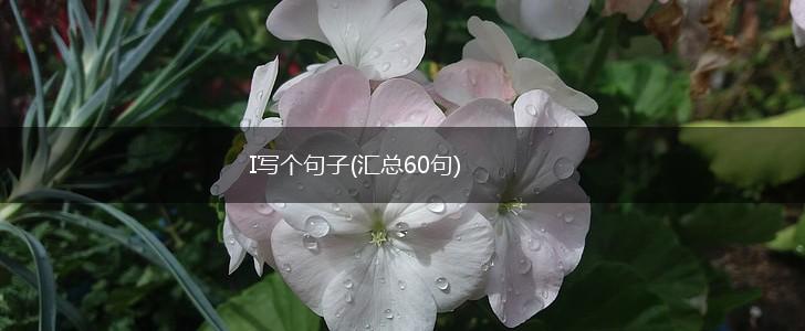 I写个句子(汇总60句),第1张