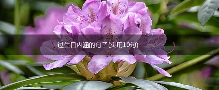 过生日内涵的句子(实用10句),第1张