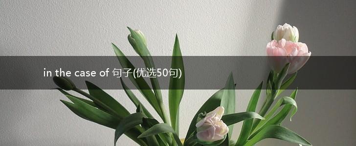 in the case of 句子(优选50句),第1张