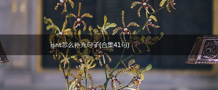 isnt怎么补充句子(合集41句),第1张