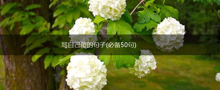 骂自己傻的句子(必备50句),第1张