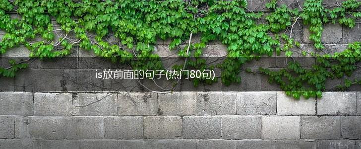 is放前面的句子(热门80句),第1张