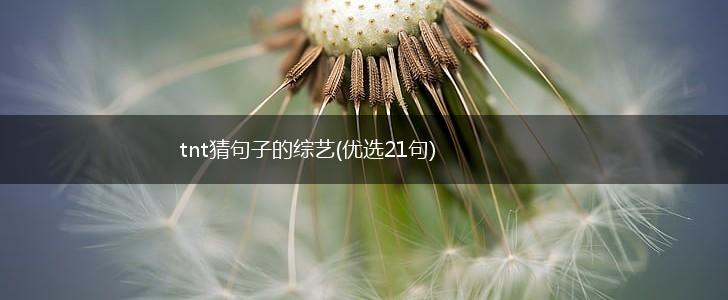 tnt猜句子的综艺(优选21句),第1张