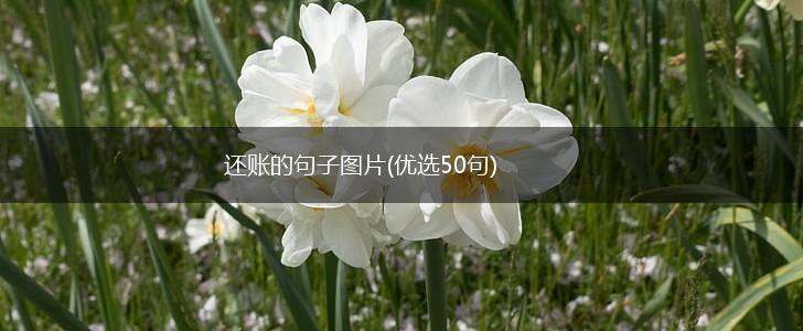 还账的句子图片(优选50句),第1张