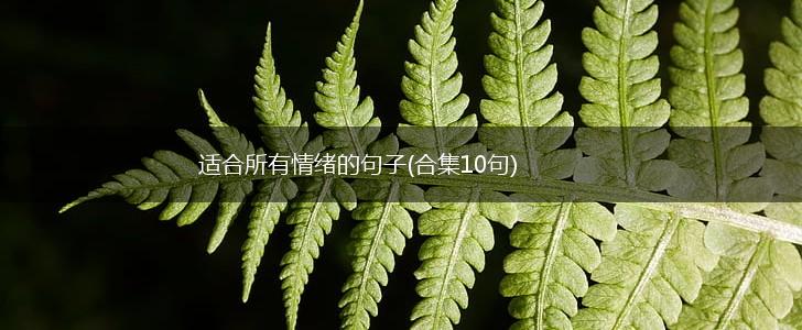 适合所有情绪的句子(合集10句),第1张