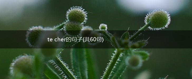 te cher的句子(共60句),第1张