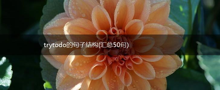 trytodo的句子结构(汇总50句),第1张