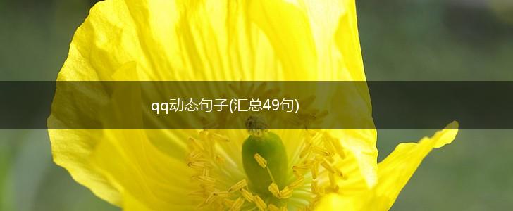 qq动态句子(汇总49句),第1张