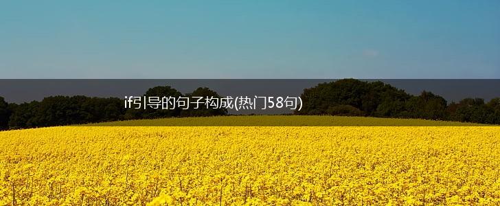 if引导的句子构成(热门58句),第1张