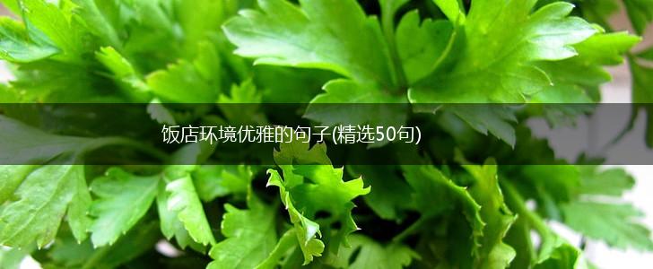饭店环境优雅的句子(精选50句),第1张