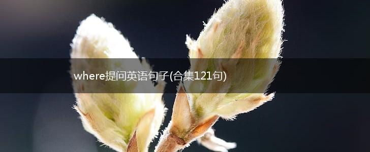where提问英语句子(合集121句),第1张
