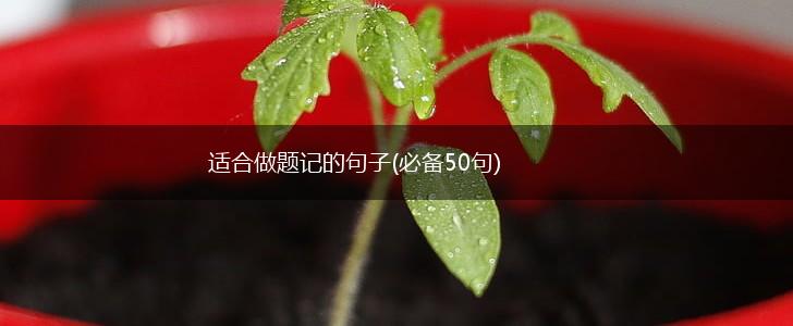 适合做题记的句子(必备50句),第1张