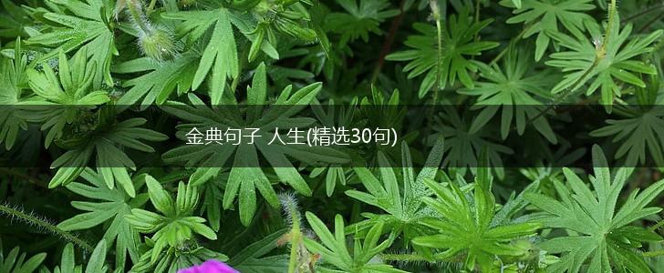 金典句子 人生(精选30句),第1张