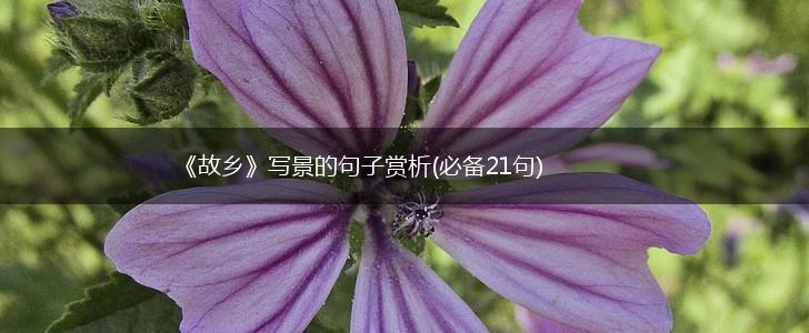 《故乡》写景的句子赏析(必备21句),第1张