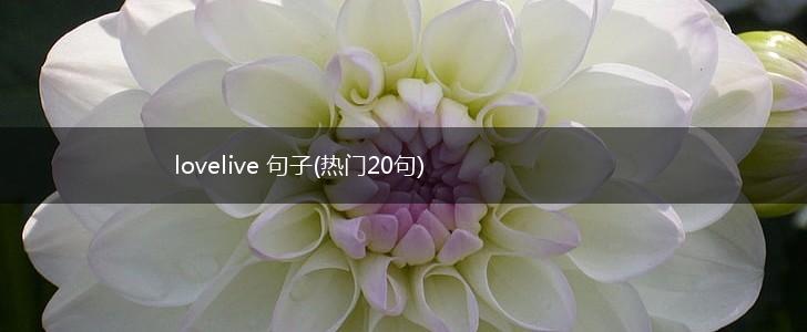 lovelive 句子(热门20句),第1张