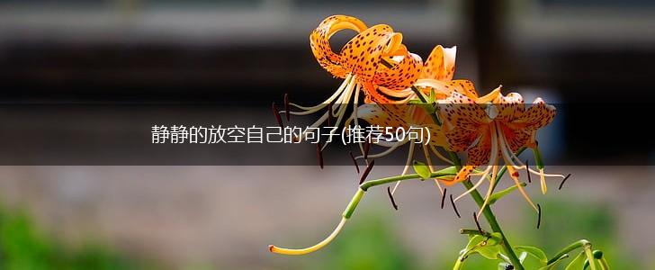 静静的放空自己的句子(推荐50句),第1张