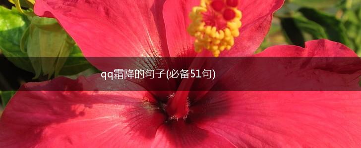 qq霜降的句子(必备51句),第1张