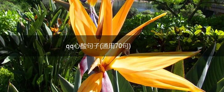 qq心酸句子(通用70句),第1张