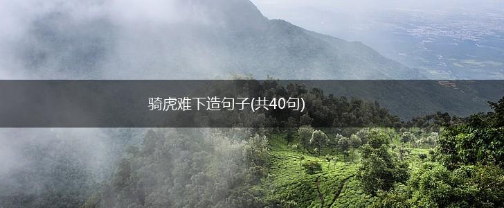 骑虎难下造句子(共40句),第1张