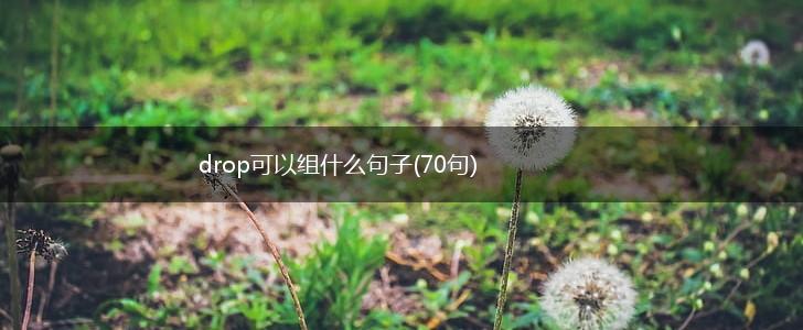 drop可以组什么句子(70句),第1张