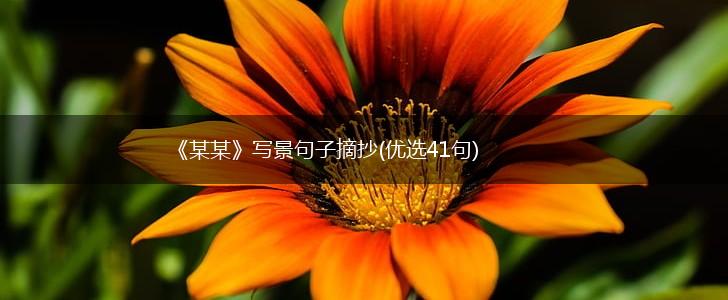 《某某》写景句子摘抄(优选41句),第1张