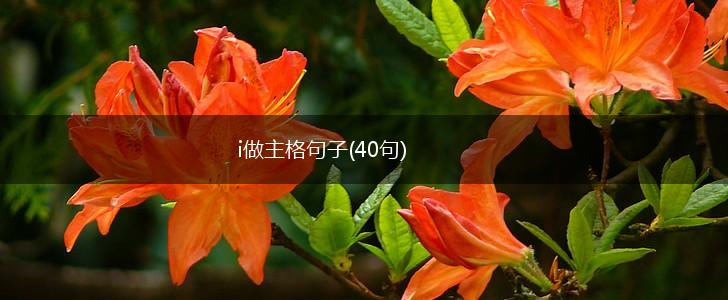 i做主格句子(40句),第1张