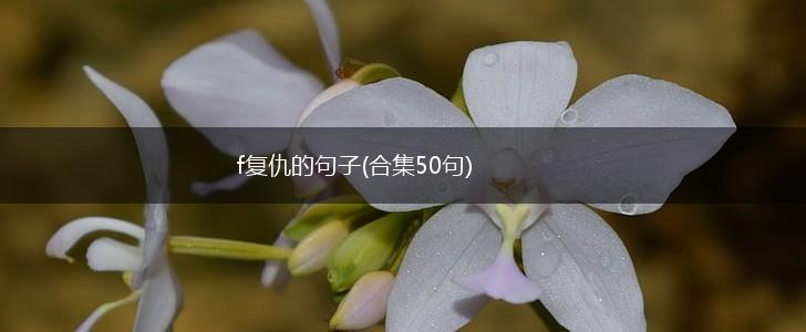 f复仇的句子(合集50句),第1张