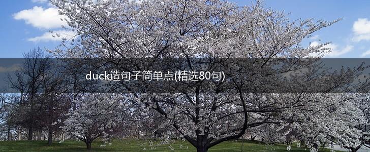 duck造句子简单点(精选80句),第1张