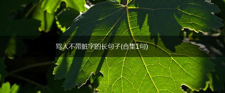 骂人不带脏字的长句子(合集1句),第1张
